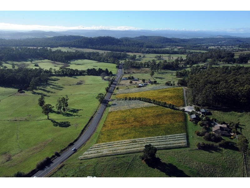 3343 West Tamar Highway, Sidmouth TAS 7270