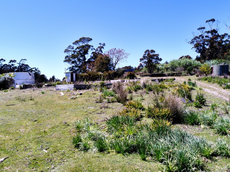 1407 Holwell Road, Holwell TAS 7275