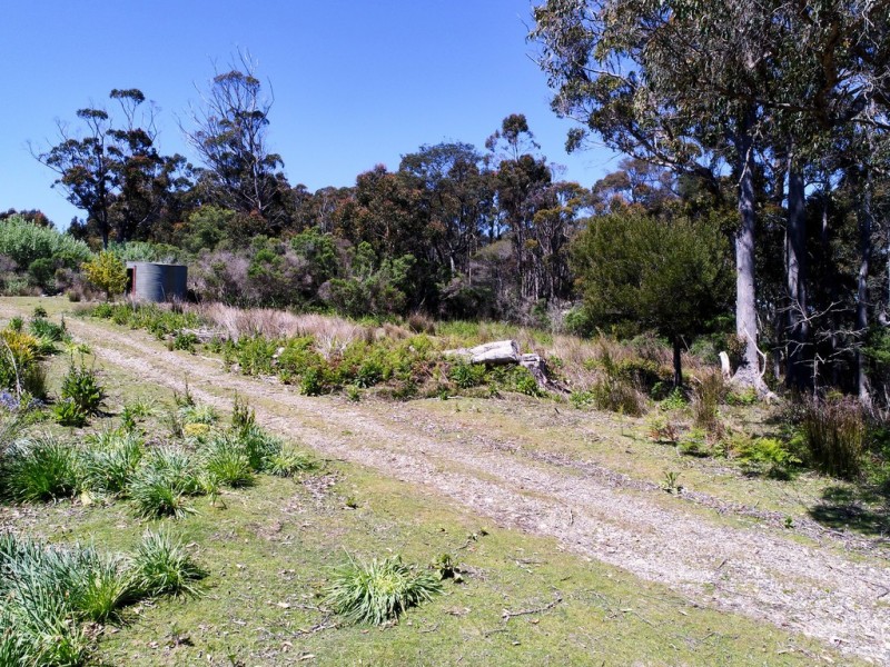 1407 Holwell Road, Holwell TAS 7275