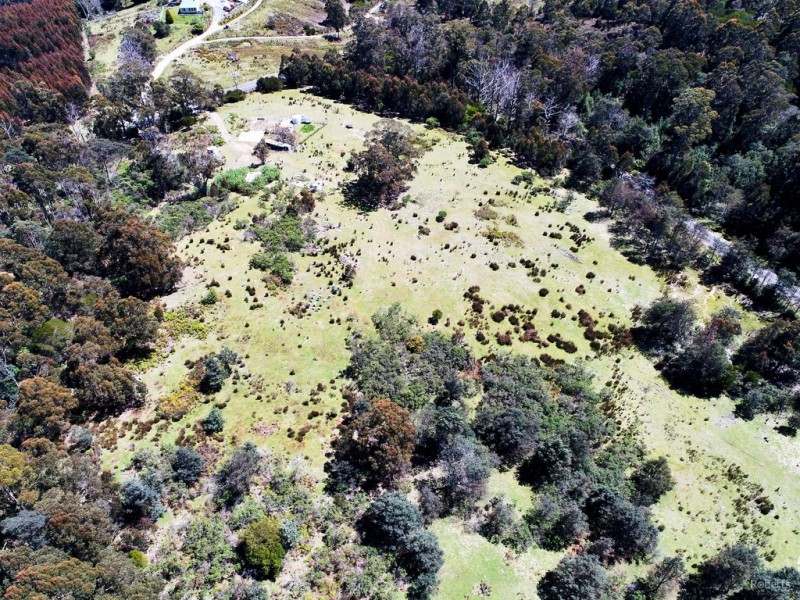 1407 Holwell Road, Holwell TAS 7275