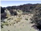 1407 Holwell Road, Holwell TAS 7275