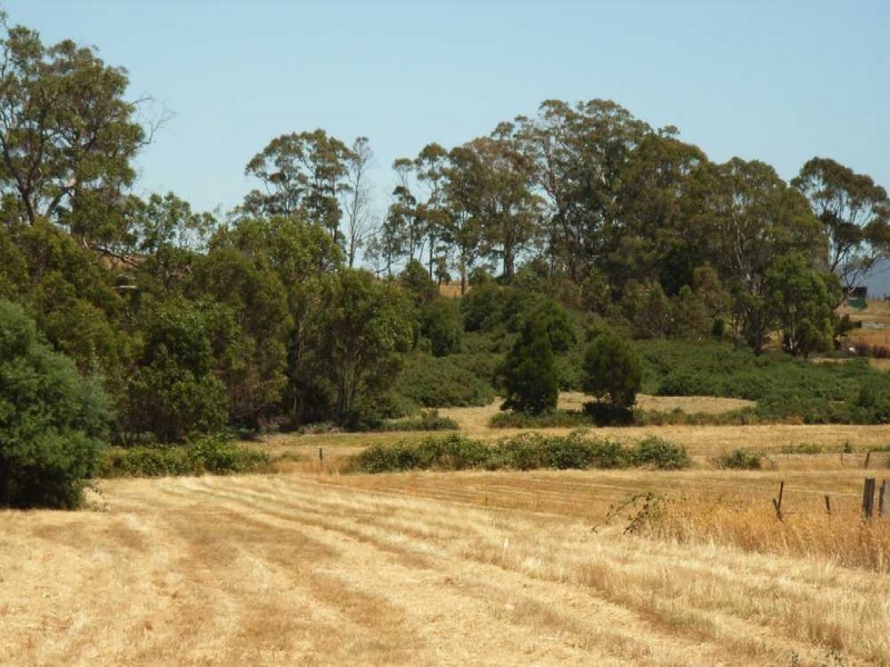 63 Main Road, Exeter TAS 7275