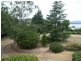 527 Deviot Road, Deviot TAS 7275