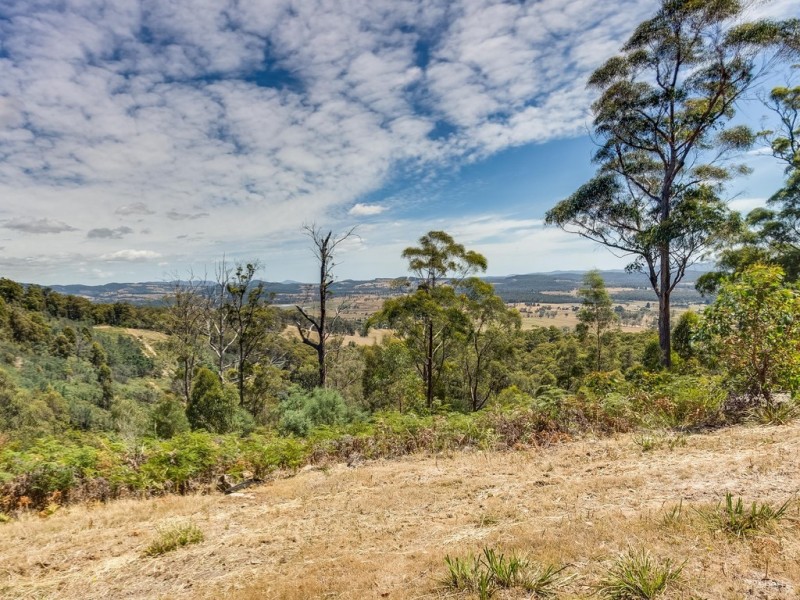 152 Notley Hills Road, Notley Hills TAS 7275