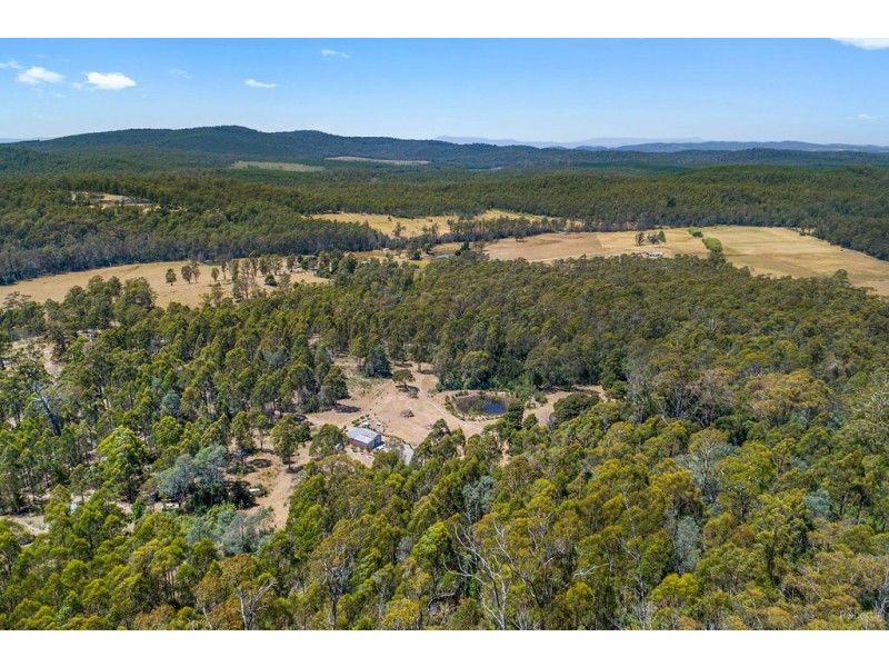 349 Ginns Road, Birralee TAS 7303