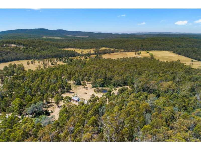 349 Ginns Road, Birralee TAS 7303