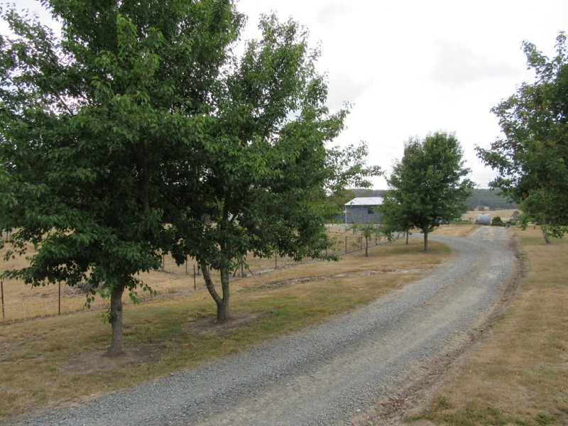 90 O’Keefes Road, Winkleigh TAS 7275