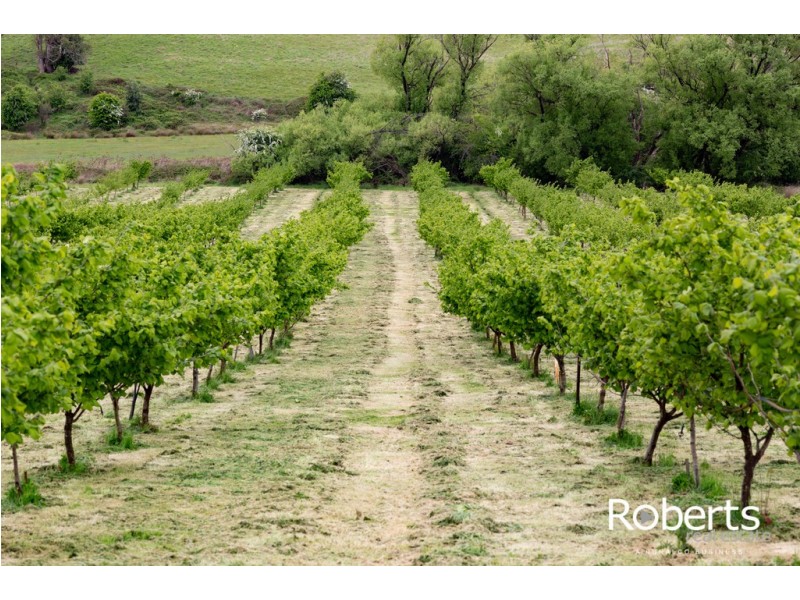 43 Turkey Farm Road, Glengarry TAS 7275