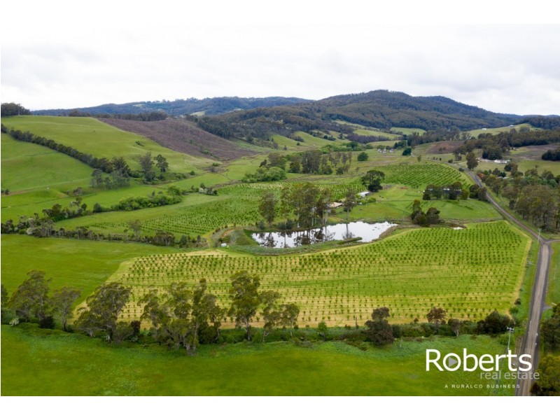 43 Turkey Farm Road, Glengarry TAS 7275