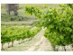 43 Turkey Farm Road, Glengarry TAS 7275
