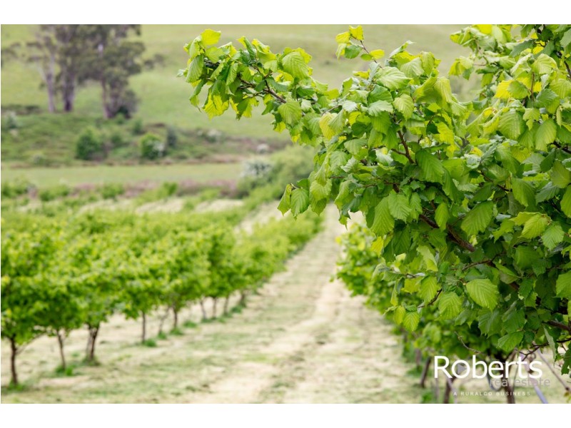 43 Turkey Farm Road, Glengarry TAS 7275