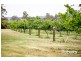 43 Turkey Farm Road, Glengarry TAS 7275