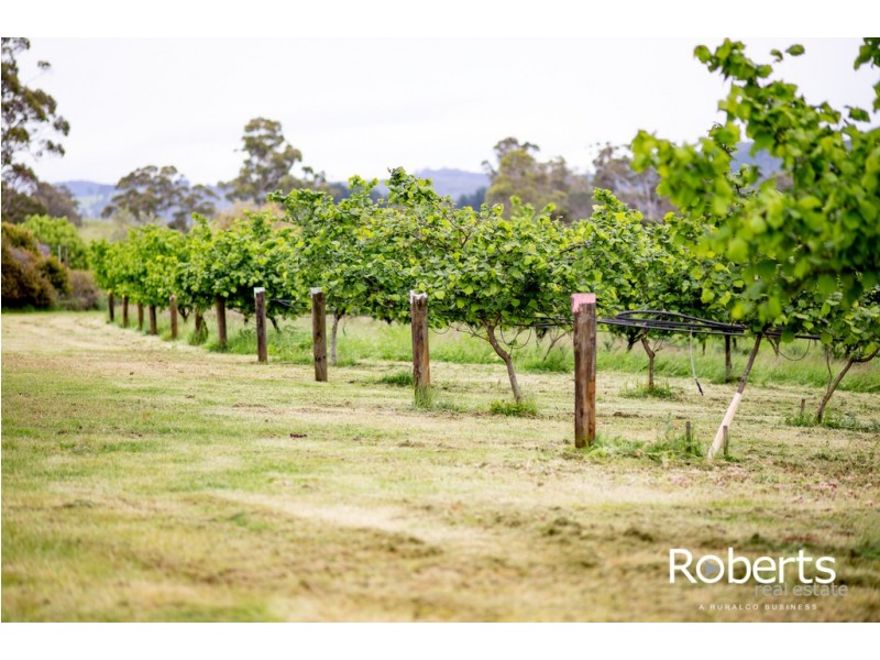 43 Turkey Farm Road, Glengarry TAS 7275