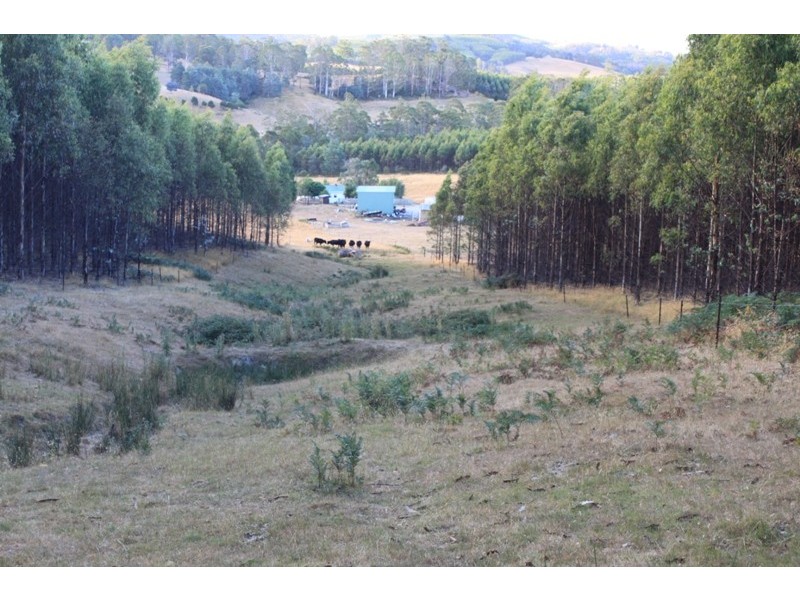 77 Hoods Road, Glengarry TAS 7275