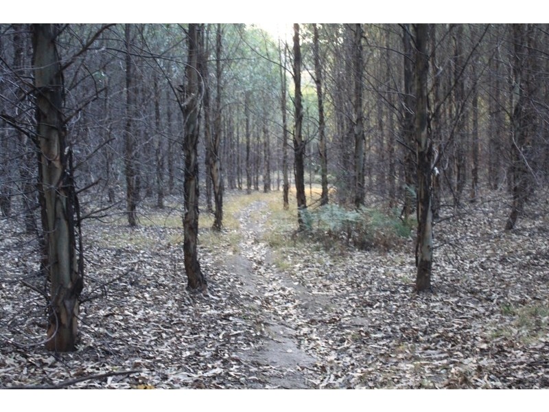 77 Hoods Road, Glengarry TAS 7275