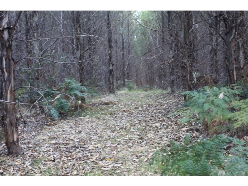 77 Hoods Road, Glengarry TAS 7275