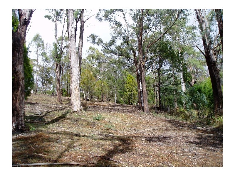 11a Bradys Lookout Road, Rosevears TAS 7277