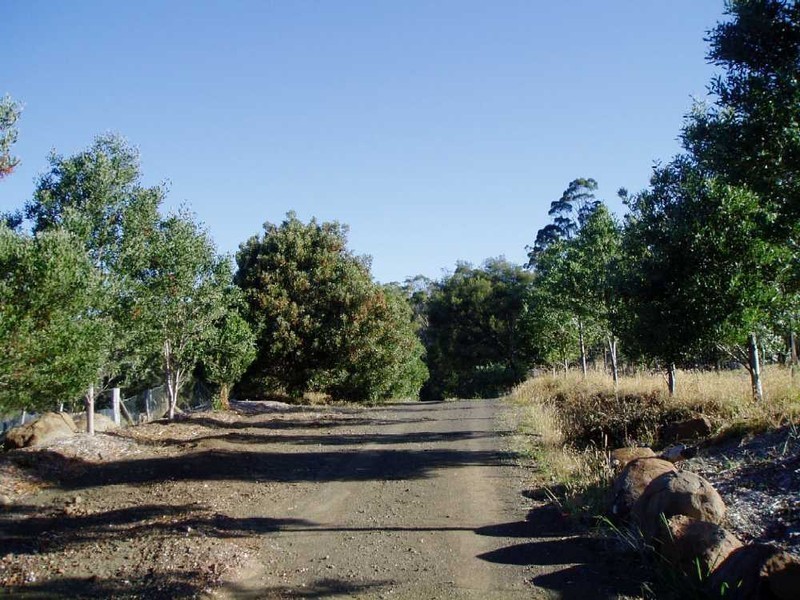 11a Bradys Lookout Road, Rosevears TAS 7277