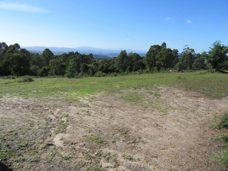 60 Hodgetts Road, Holwell TAS 7275