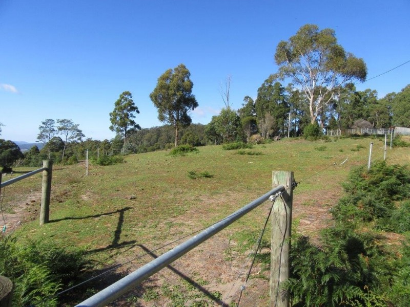 60 Hodgetts Road, Holwell TAS 7275