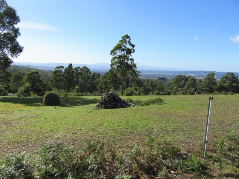 60 Hodgetts Road, Holwell TAS 7275