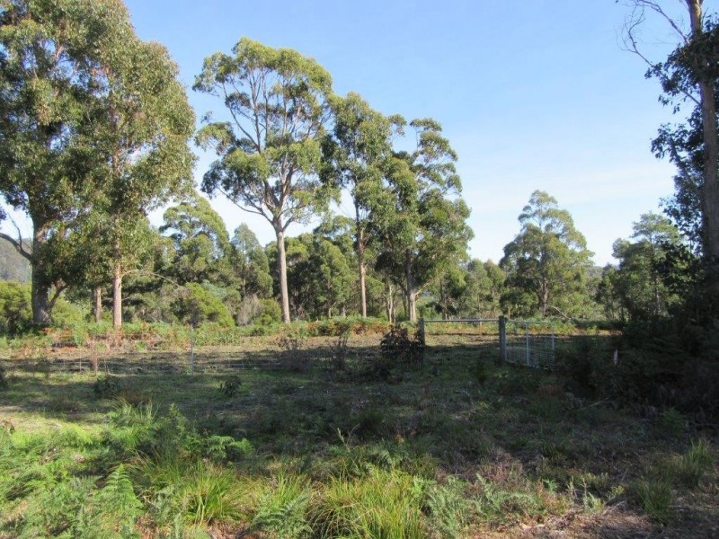 60 Hodgetts Road, Holwell TAS 7275