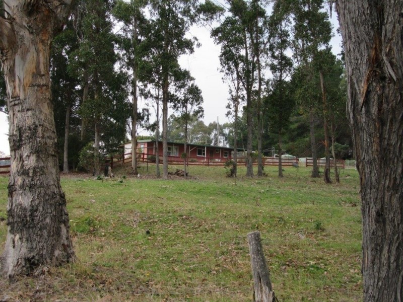 60 Hodgetts Road, Holwell TAS 7275