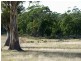 . Winkleigh Road, Winkleigh TAS 7275
