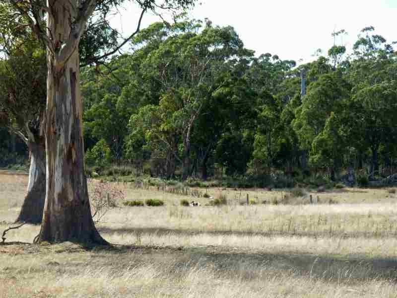 . Winkleigh Road, Winkleigh TAS 7275
