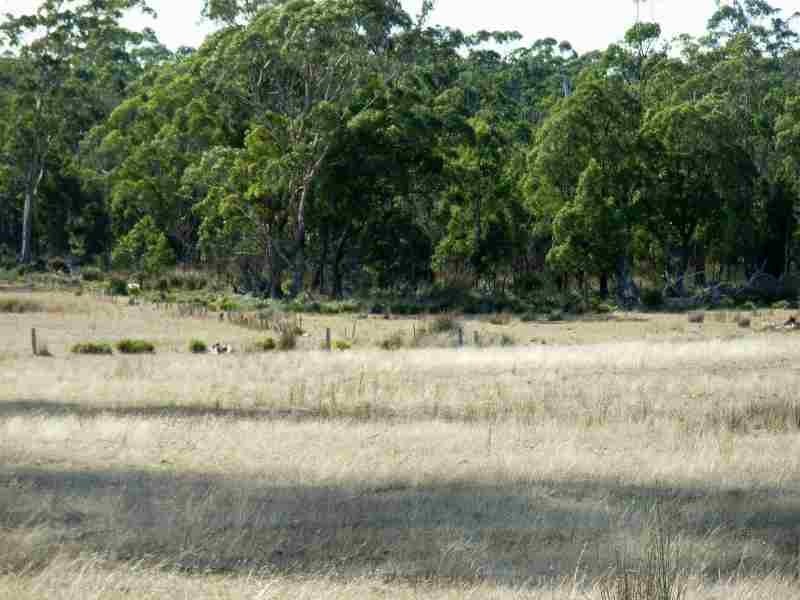 . Winkleigh Road, Winkleigh TAS 7275