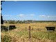 1408 Birralee Road, Birralee TAS 7303