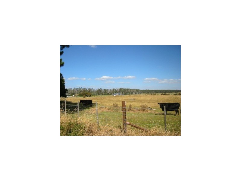 1408 Birralee Road, Birralee TAS 7303