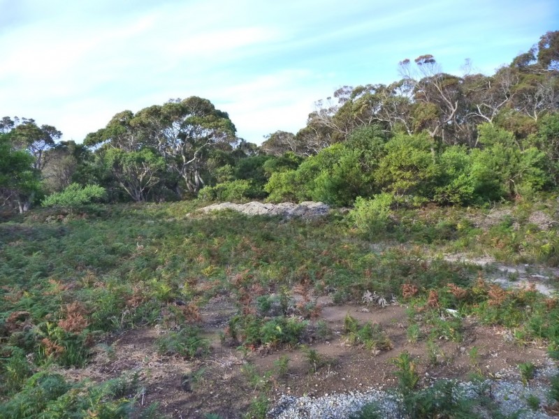 Lot 1 Top Road, Greens Beach TAS 7270