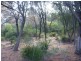 Lot 1 Top Road, Greens Beach TAS 7270