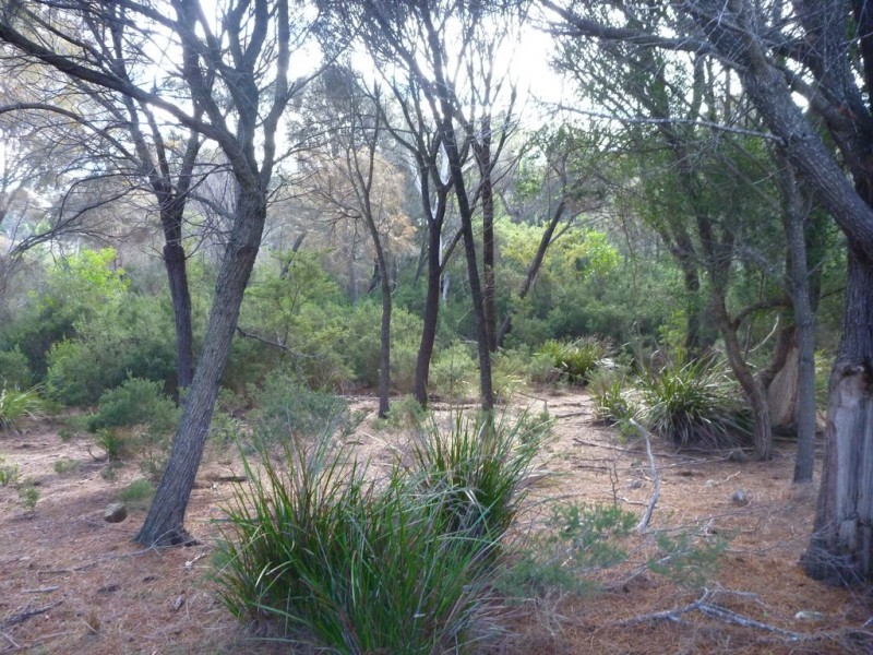 Lot 1 Top Road, Greens Beach TAS 7270