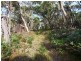 Lot 1 Top Road, Greens Beach TAS 7270