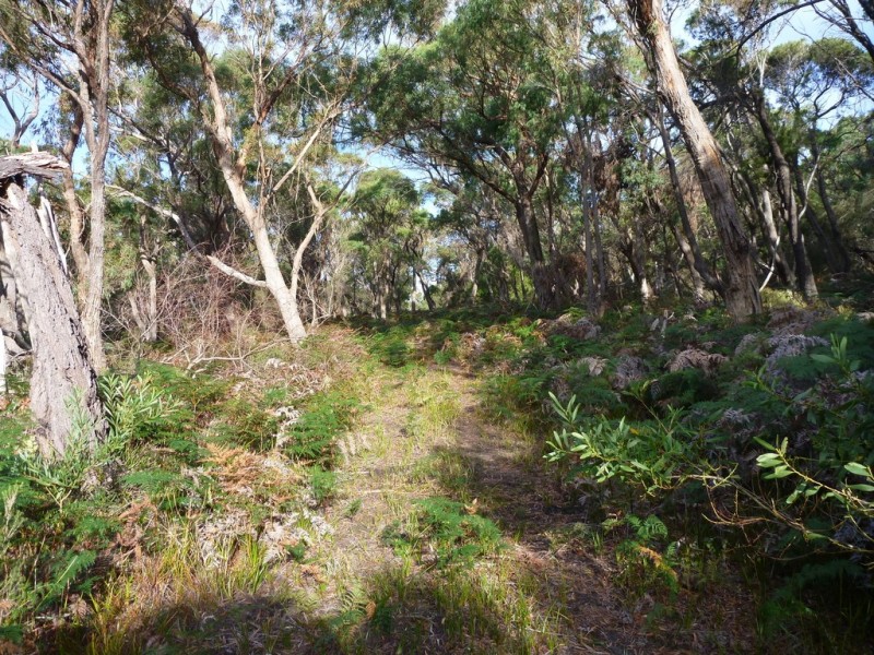 Lot 1 Top Road, Greens Beach TAS 7270