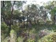 Lot 1 Top Road, Greens Beach TAS 7270