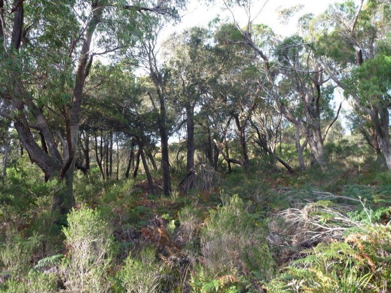 Lot 1 Top Road, Greens Beach TAS 7270