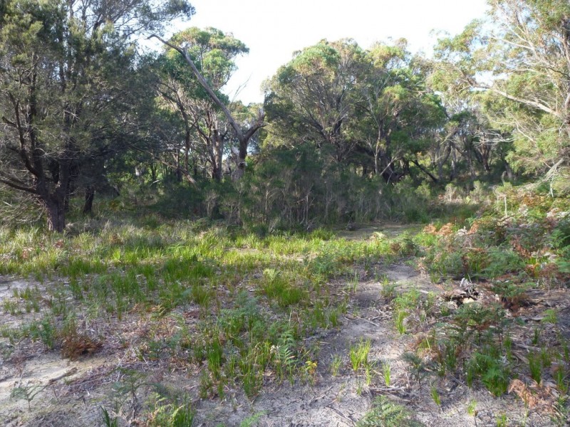 Lot 1 Top Road, Greens Beach TAS 7270