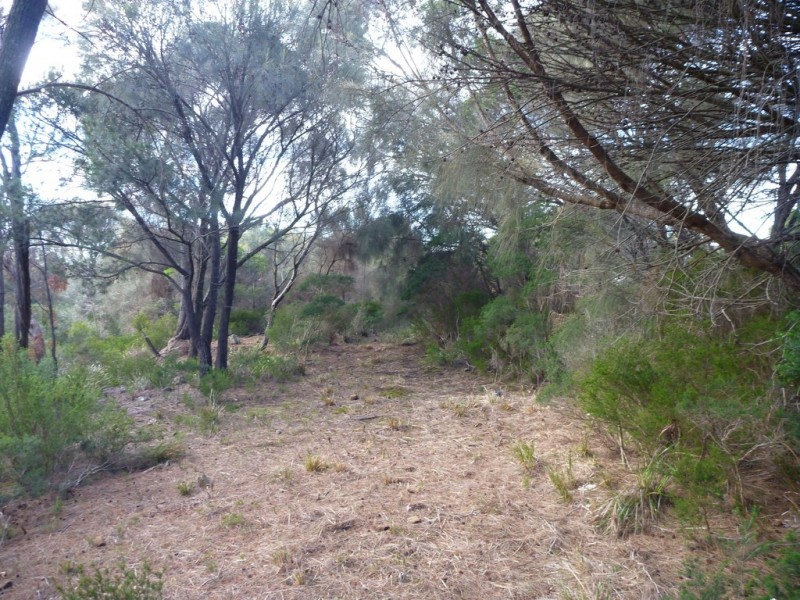 Lot 1 Top Road, Greens Beach TAS 7270