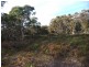 Lot 1 Top Road, Greens Beach TAS 7270