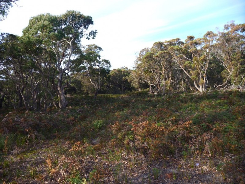 Lot 1 Top Road, Greens Beach TAS 7270