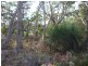 Lot 1 Top Road, Greens Beach TAS 7270