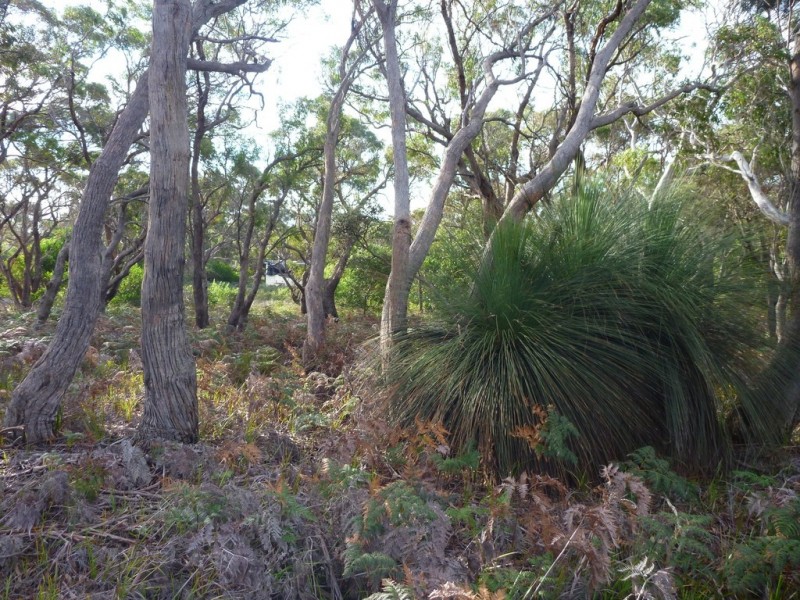 Lot 1 Top Road, Greens Beach TAS 7270