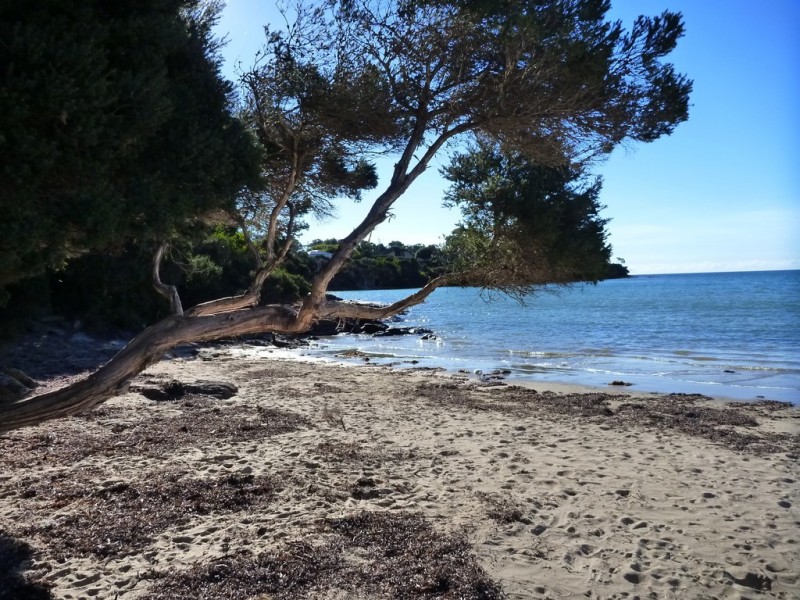 Lot 1 Top Road, Greens Beach TAS 7270