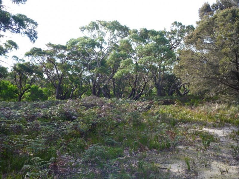 Lot 1 Top Road, Greens Beach TAS 7270