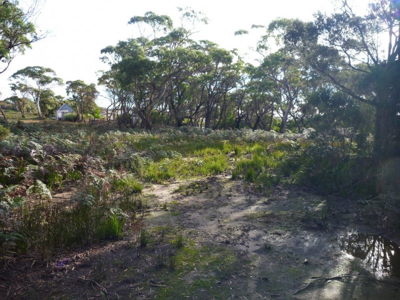 Lot 1 Top Road, Greens Beach TAS 7270