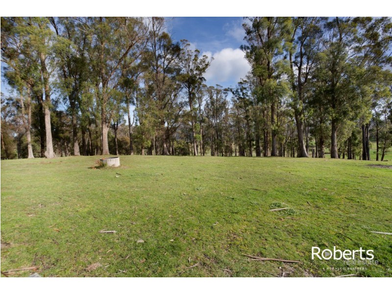 225 Valley Road, Sidmouth TAS 7270