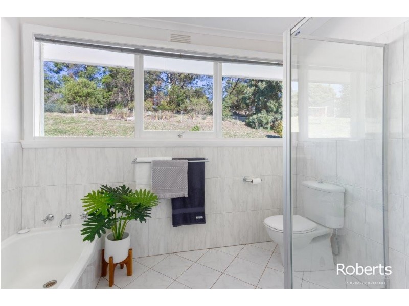 54 Bradys Lookout Road, Rosevears TAS 7277